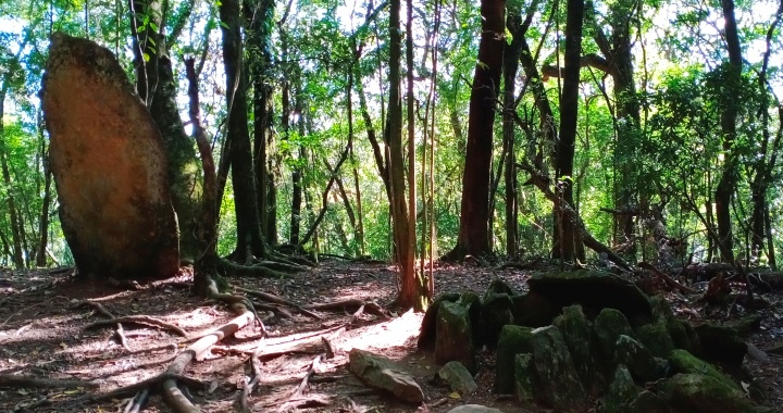 Mawphlang" Sacred Forest of Meghalaya, Northeast India | Mawphlang village  | Meghalaya travel | Khasi Hills | Sacred Grove | Mawphlang Sacred Forest |  Trekking in Mawphlang | Mawphlang | Mawphlang Dwar