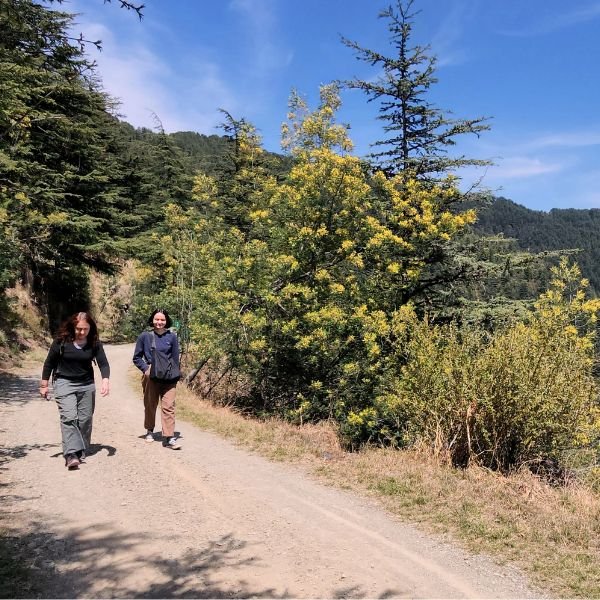 Shimla Water Catchment Wildlife Sanctuary- The Complete Guide