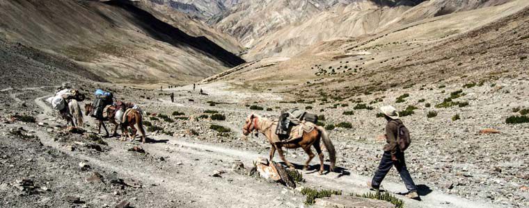 Markha Valley Trek