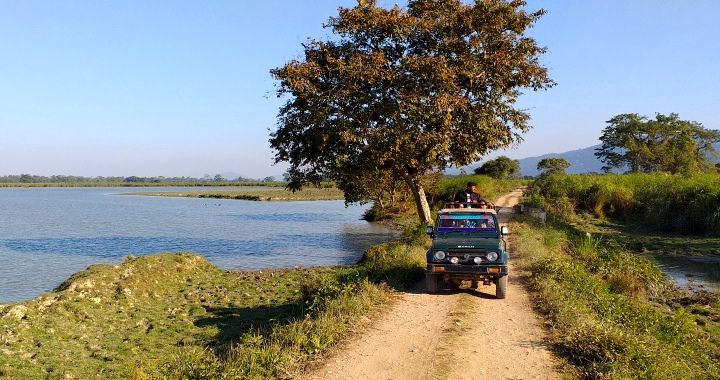 The Best of Assam and Meghalaya - Cultural, Nature and Wildlife Tour