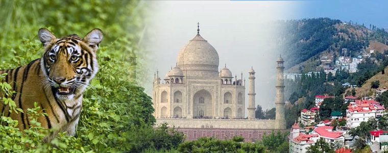 The Taj and The Tigers with Shimla Hills